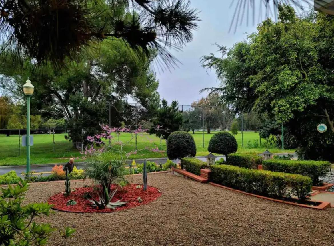 Large Luxury Studio With View In سانتا مونيكا المظهر الخارجي الصورة